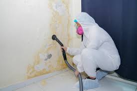 Best Mold Documentation for Insurance Claims  in Prospect, KY